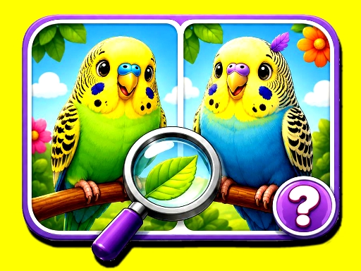 Play Budgie Spot the Difference